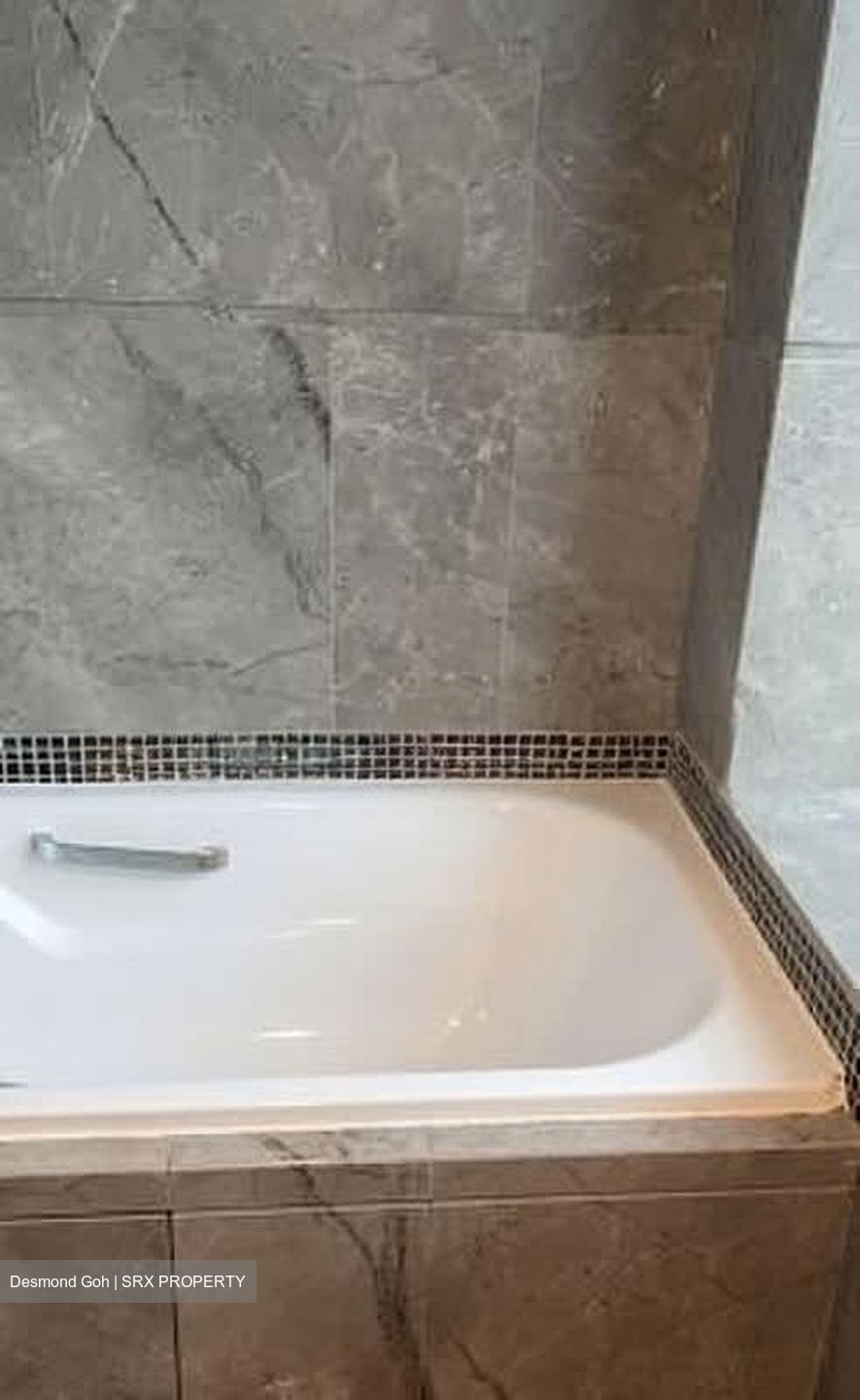 The Vision (D5), Condominium #564584801